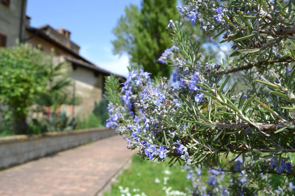 Agriturismo Nestore Εξωτερικό φωτογραφία