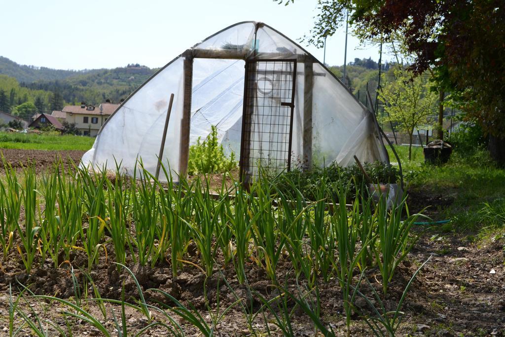 Agriturismo Nestore Εξωτερικό φωτογραφία